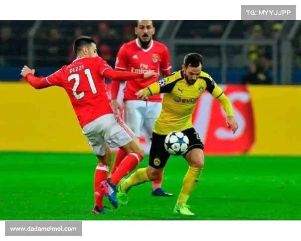 德甲联赛商业收入分析与发展潜力探讨