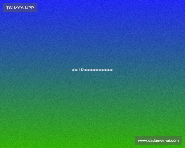 西甲经典442阵型解析及其在现代足球中的战术演变分析